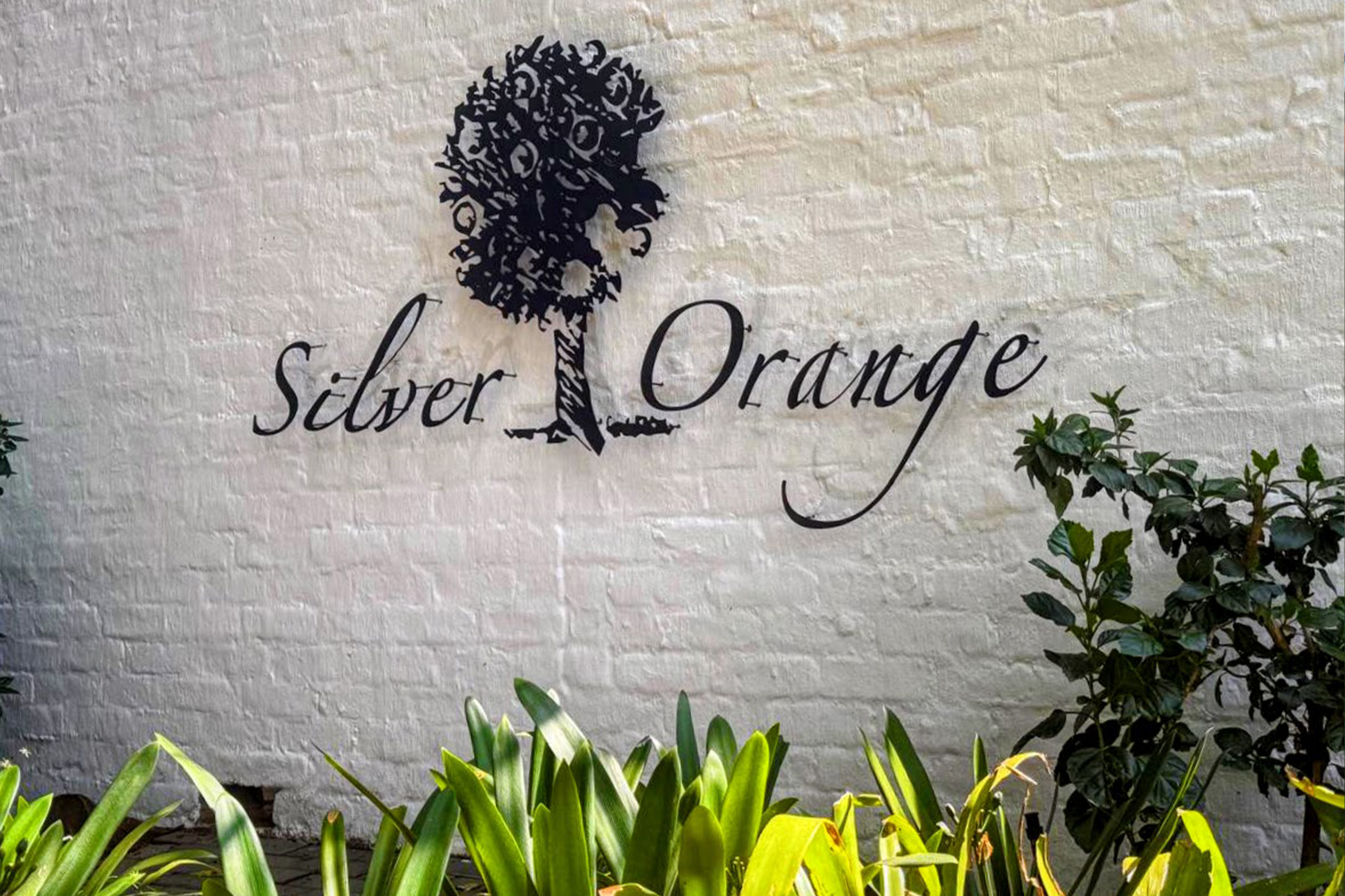 Silver Orange Bistro